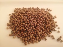 Coriander Seeds